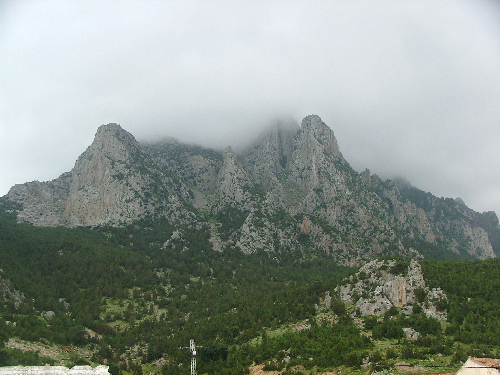 Liaison de la route Borj Cédria avec l'autoroute A1